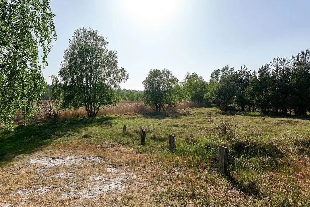 Hohe Düne