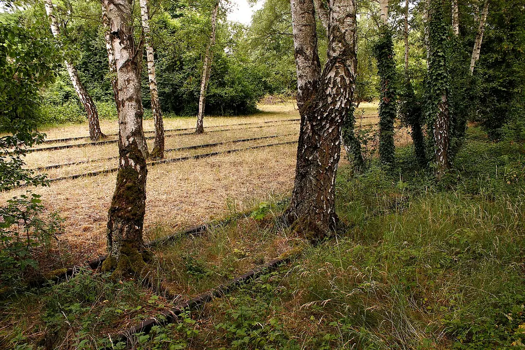 Natur-Park Südgelände