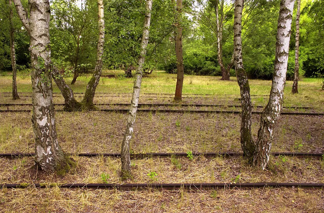 Natur-Park Südgelände