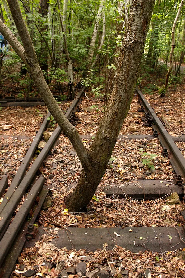 Natur-Park Südgelände