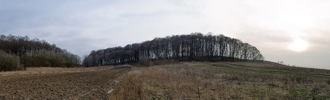 Колоденський заказник