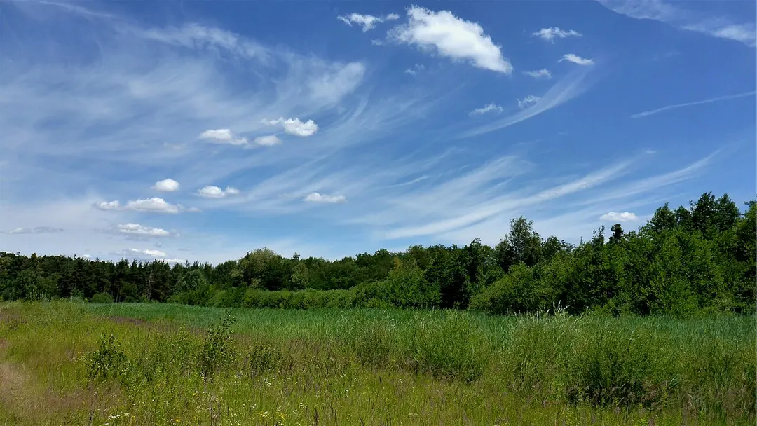 Sandgrube im Dreispitz-Mörsch