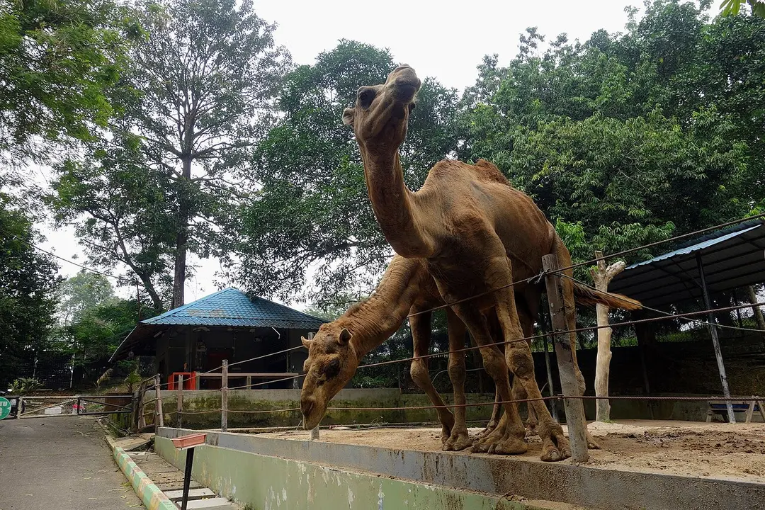 Zoo Johor