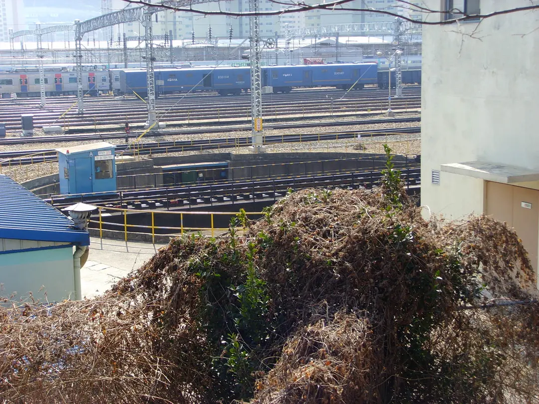 Gaya Station