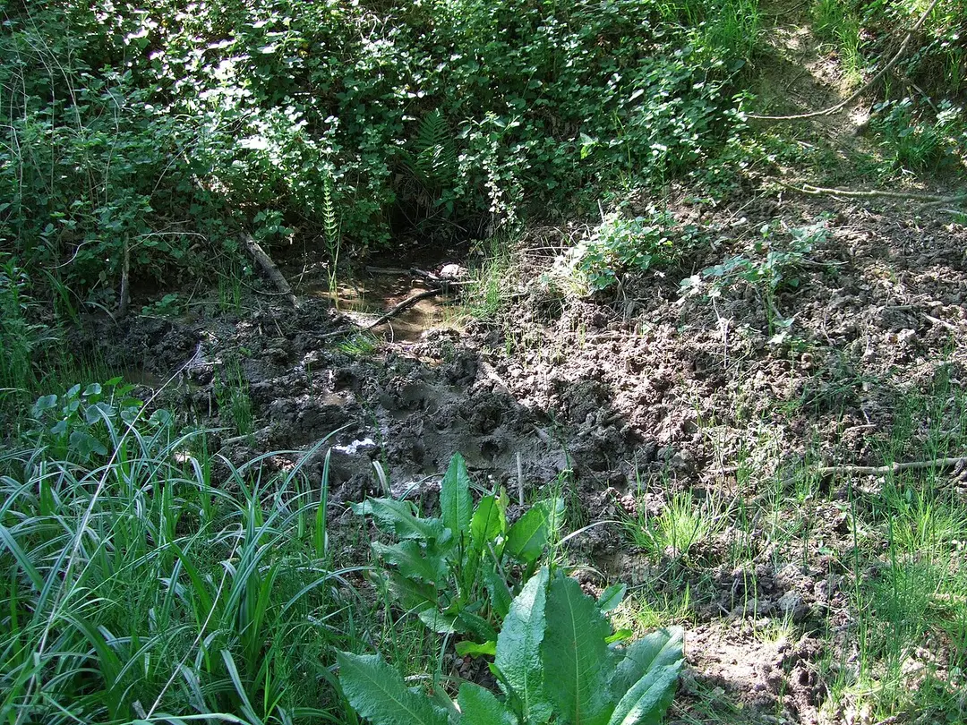 Schmiehbach