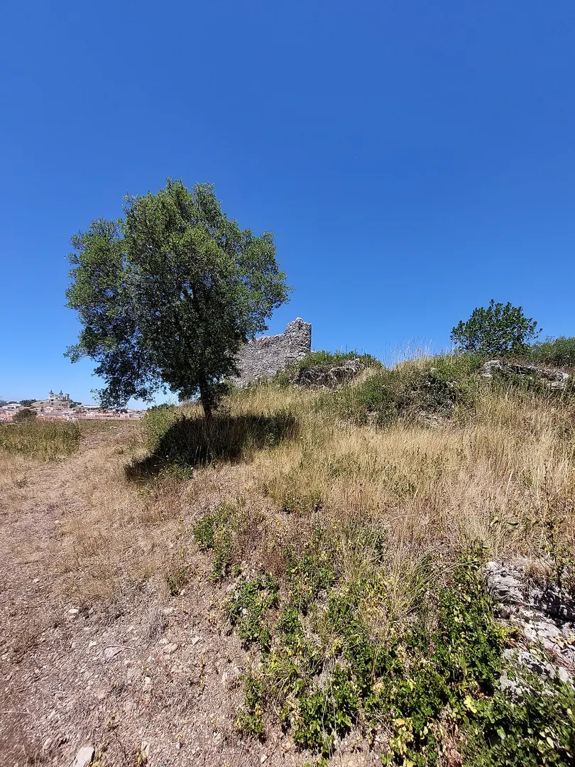 Forca de Porto de Mós
