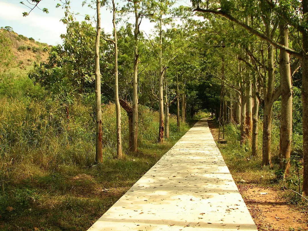 Udayagiri Fort