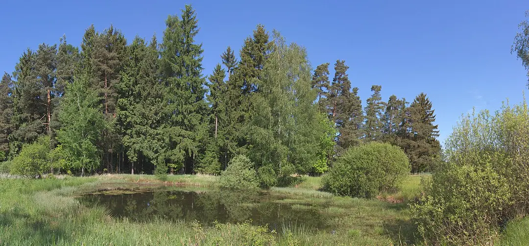 Matenský rybník