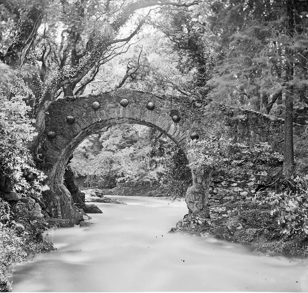 Tollymore Forest Park