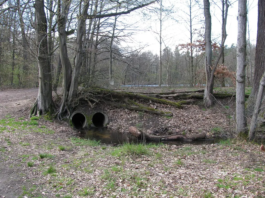 Maunzenweiher
