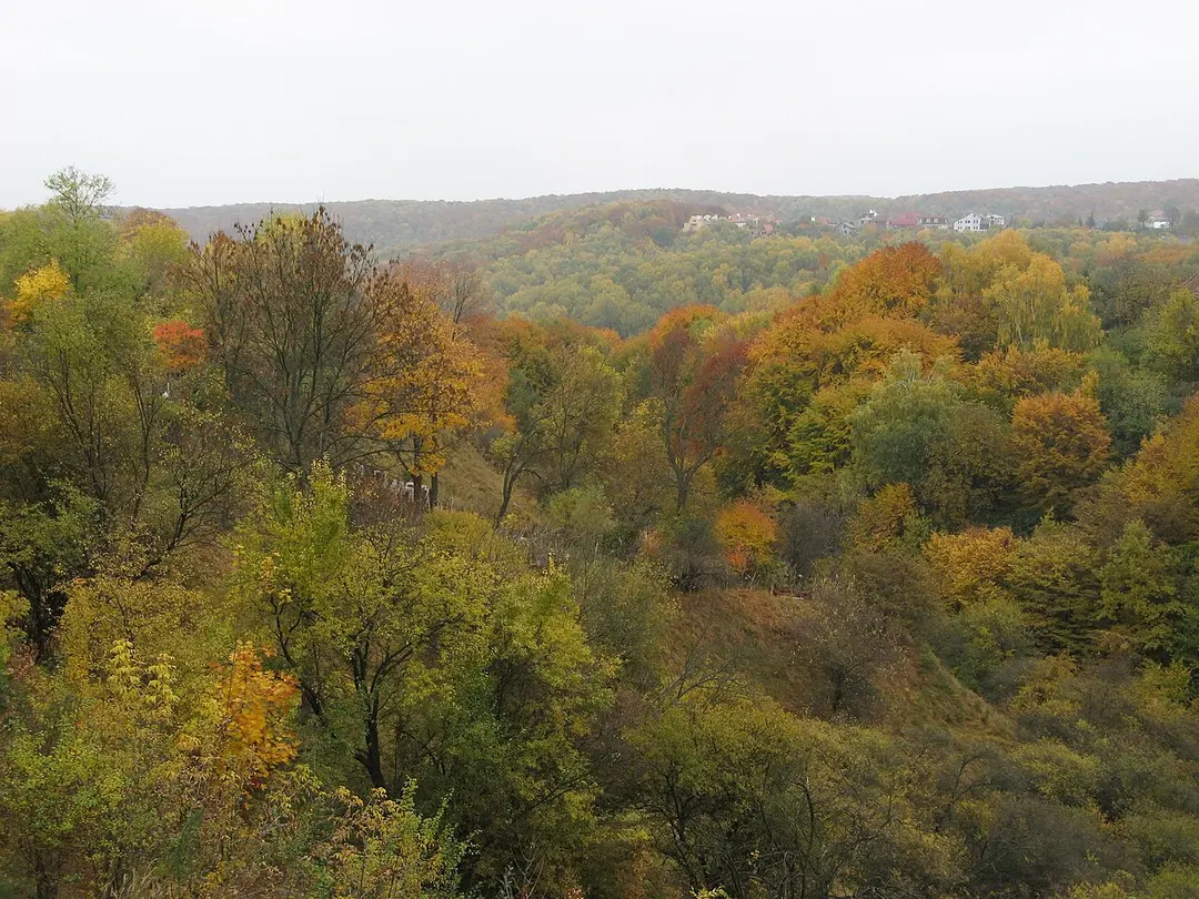 Vynnyky Forest Park