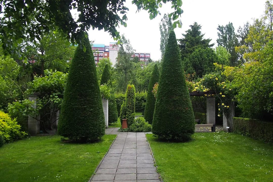 Botanischer Garten