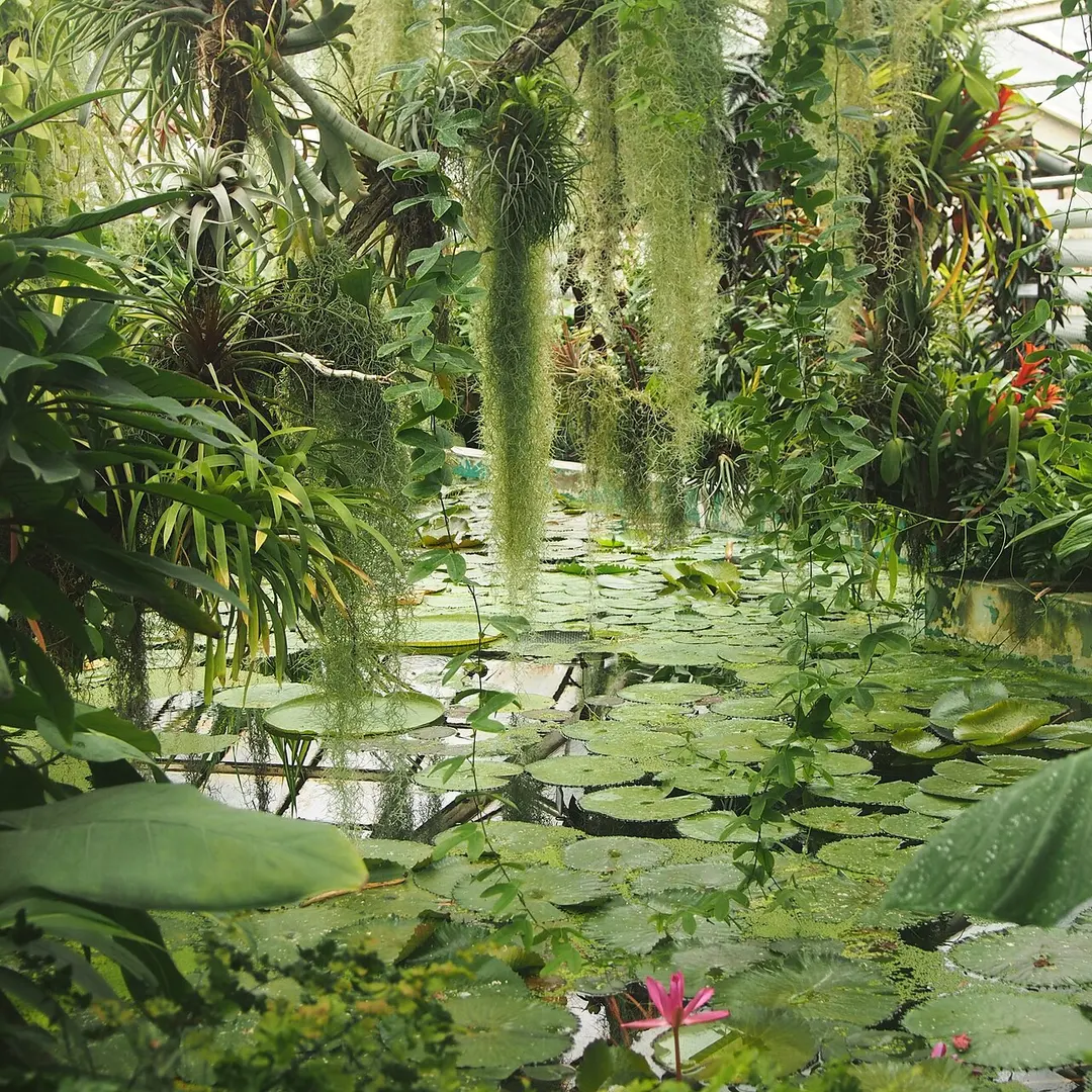 Botanischer Garten