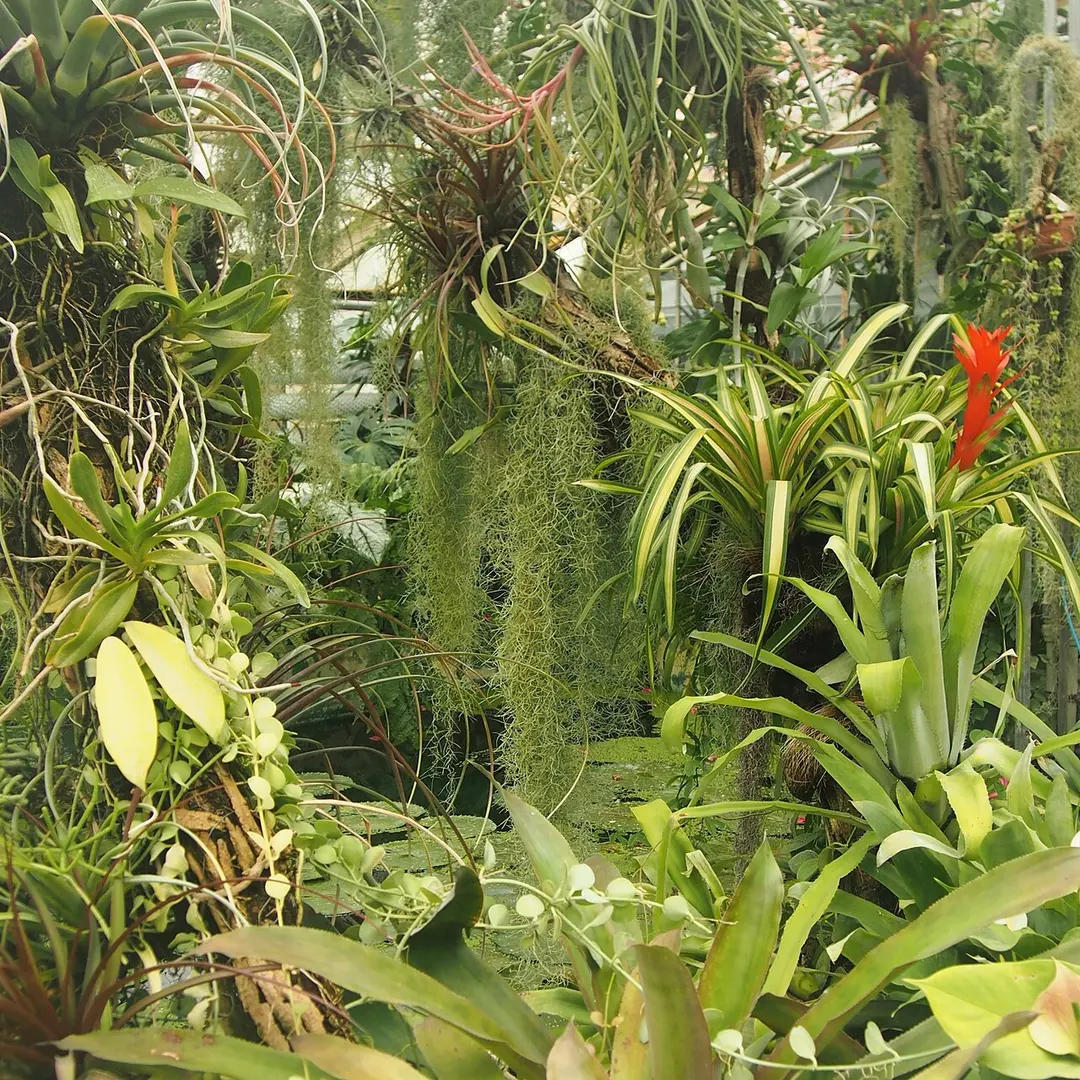 Botanischer Garten