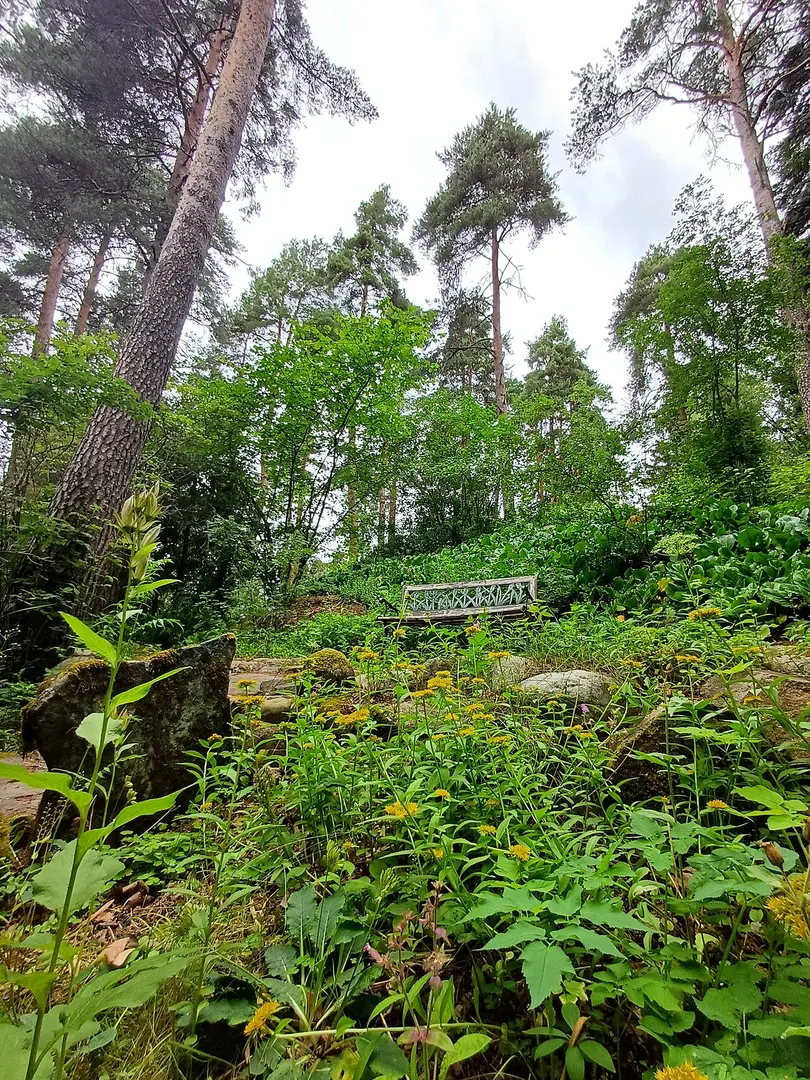 Hörtsänä Arboretum