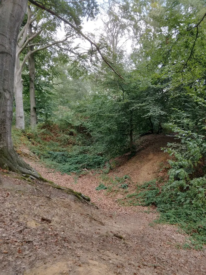 Quarzitkuppe Liedberg