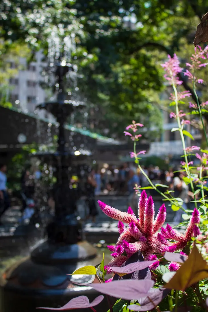 Madison Square Fountain