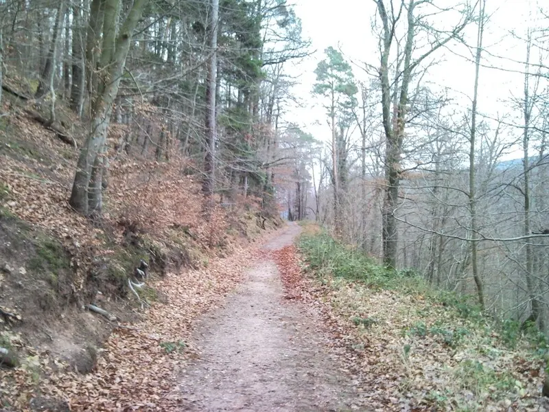 Château de Guirbaden