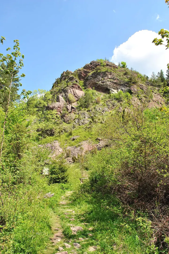 Wąwóz Homole