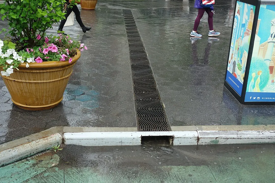 Dante Park