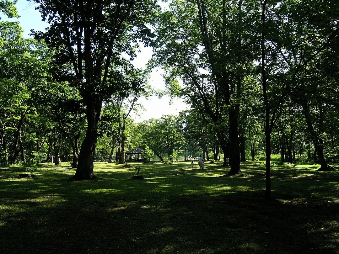 Torinuma Park
