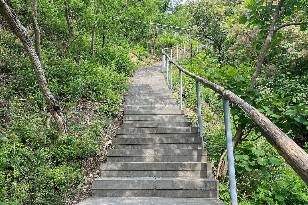 百望山森林公园