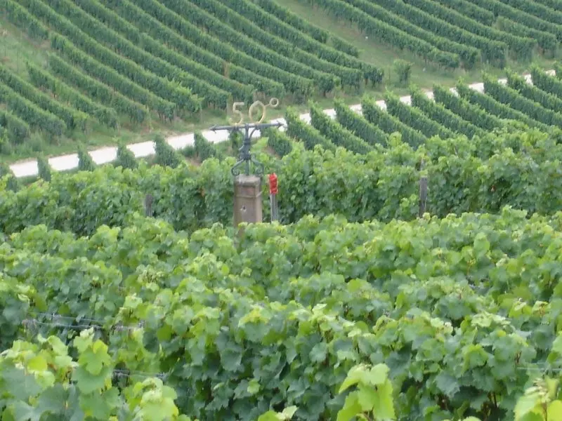 Johannisberg