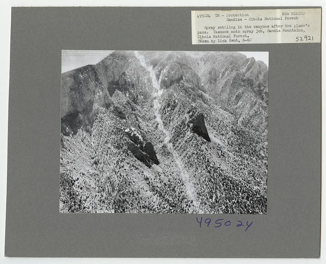 Sandia Mountain Wilderness