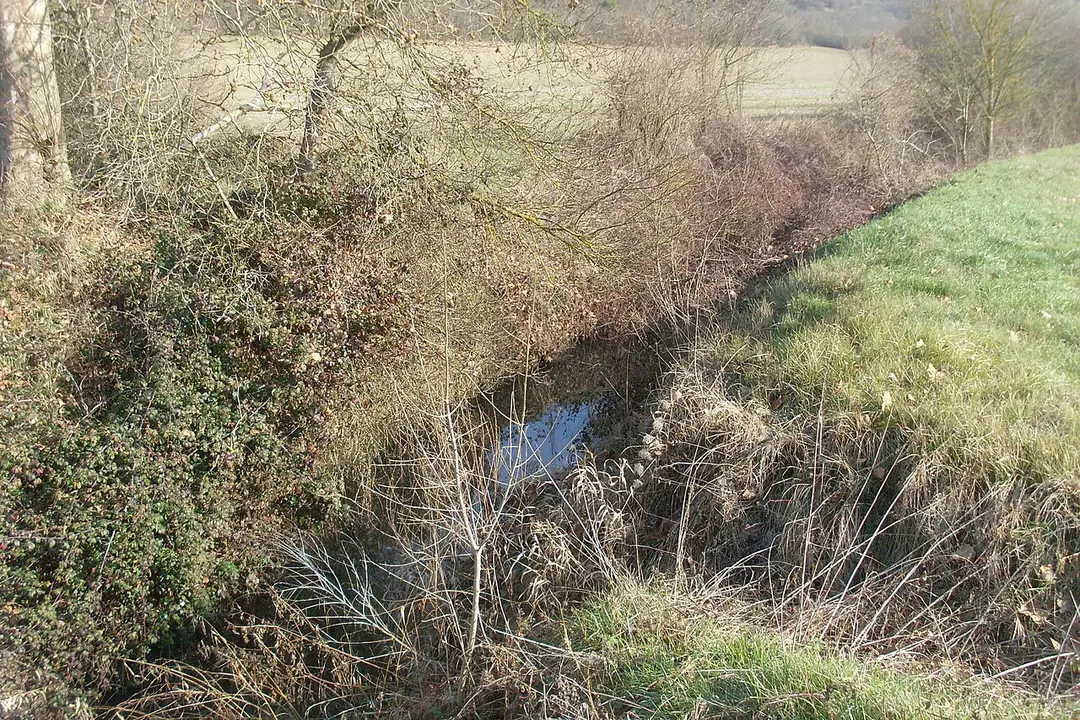 Seillonne