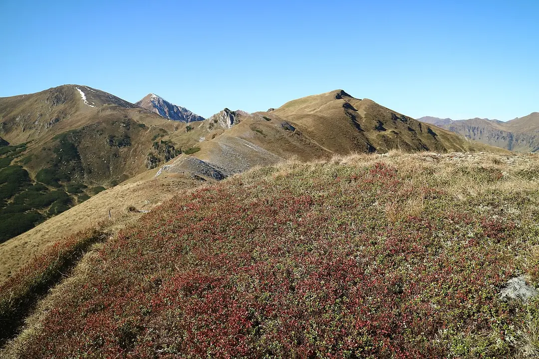 Hohenwart