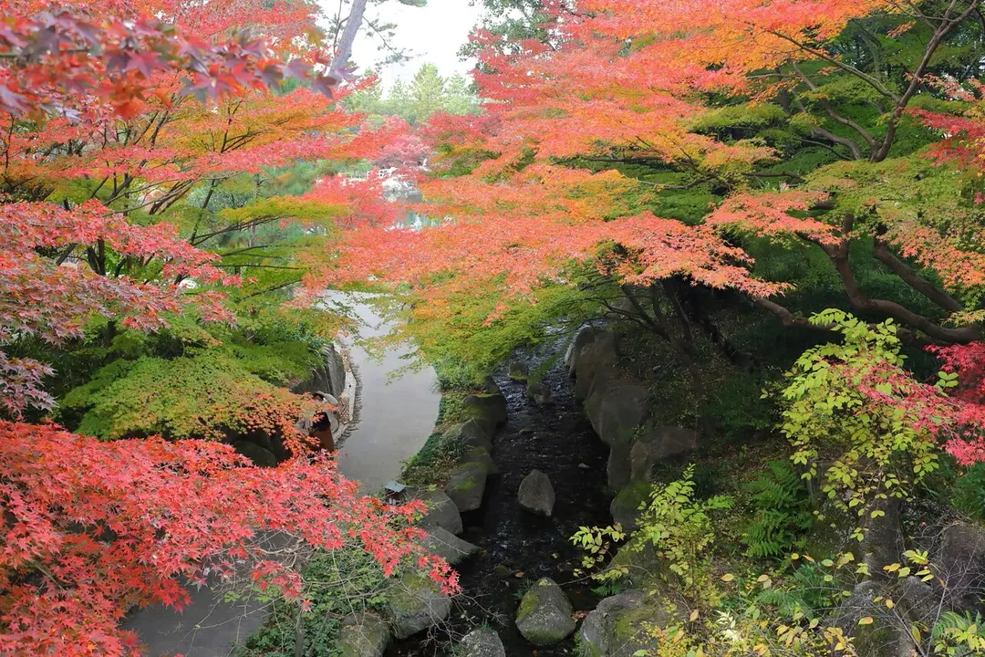 徳川園