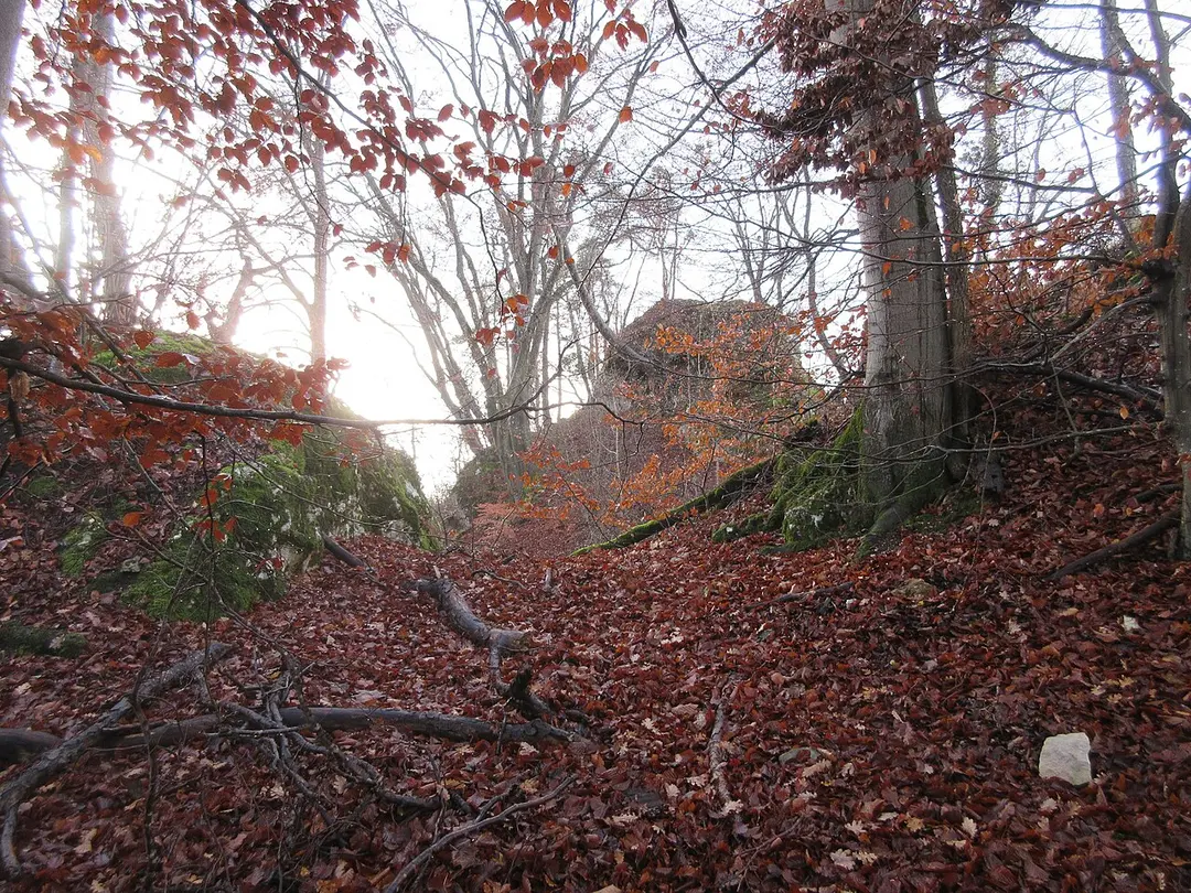 Ruine Hintere Birseck