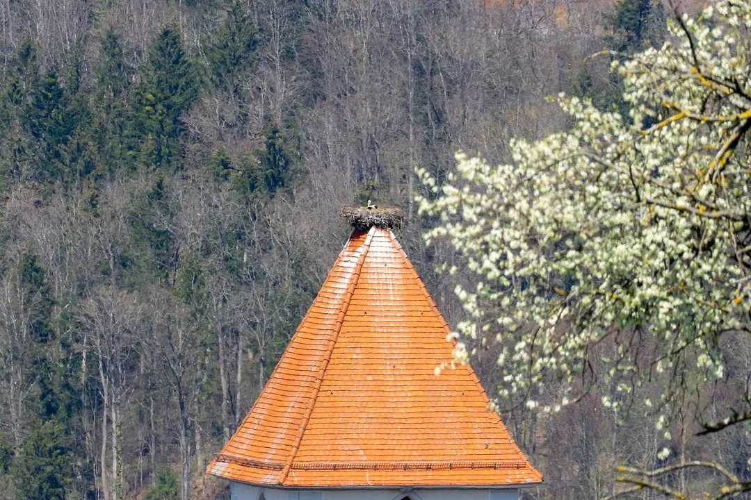 Mariä Heimsuchung