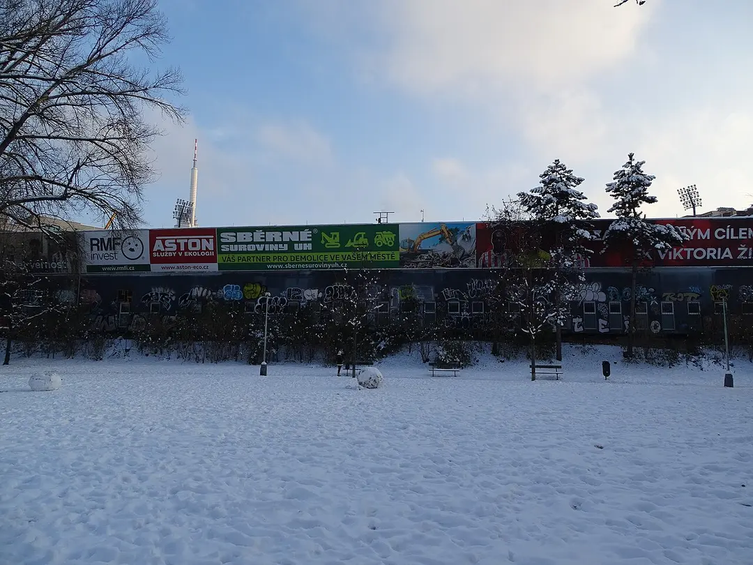 FK Viktoria Žižkov