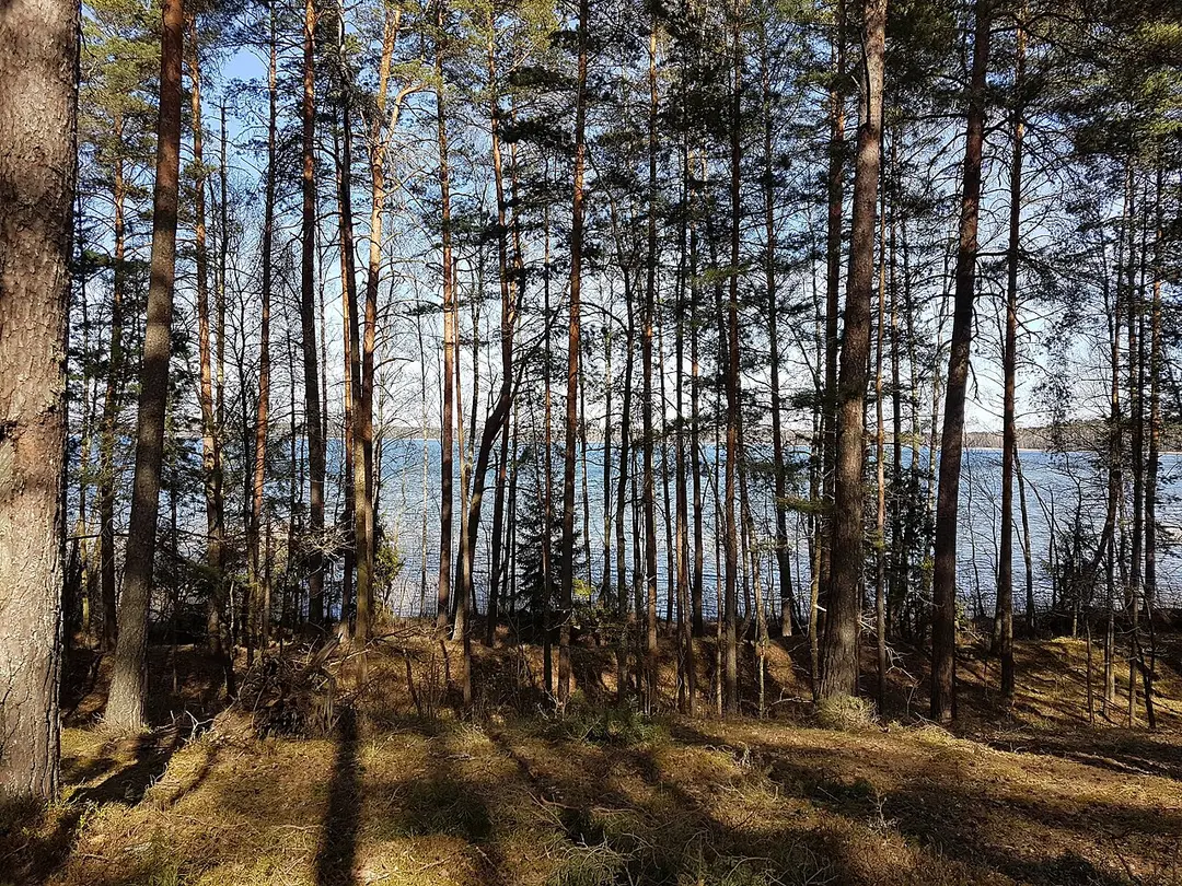 Northern Volasa