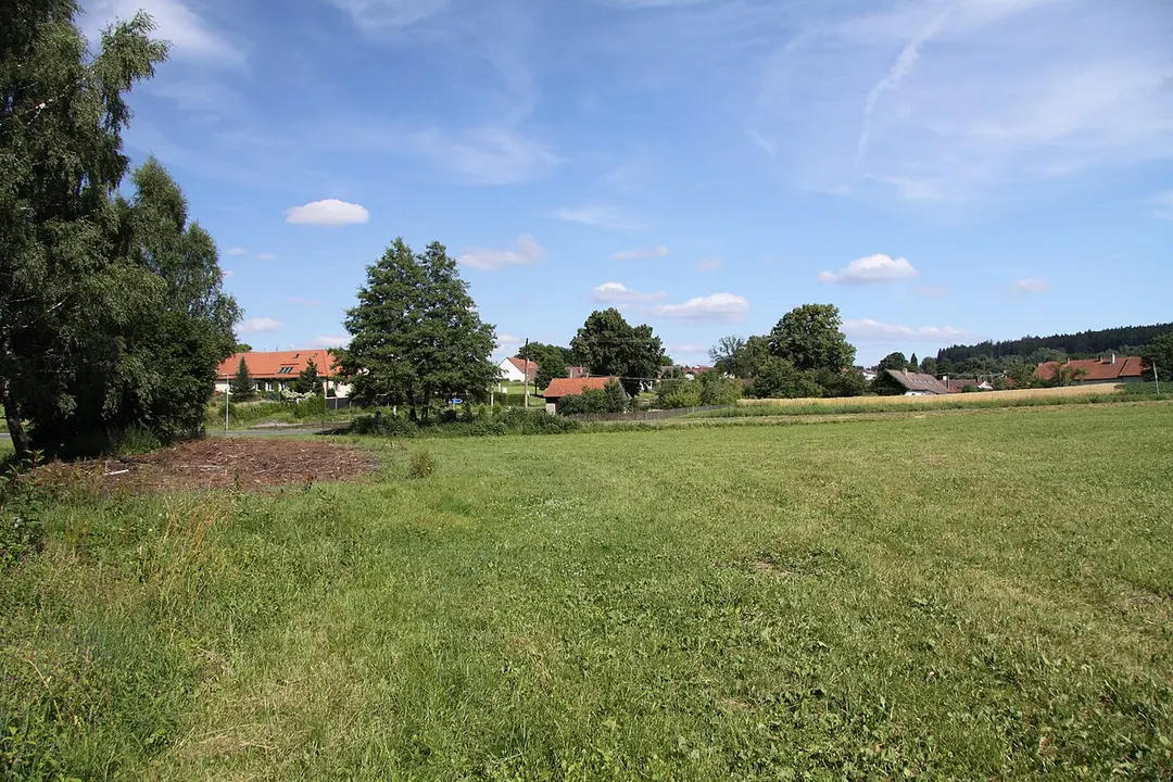 Rašeliniště u Vintířova