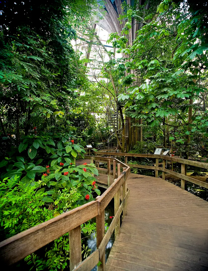 Krefelder Zoo