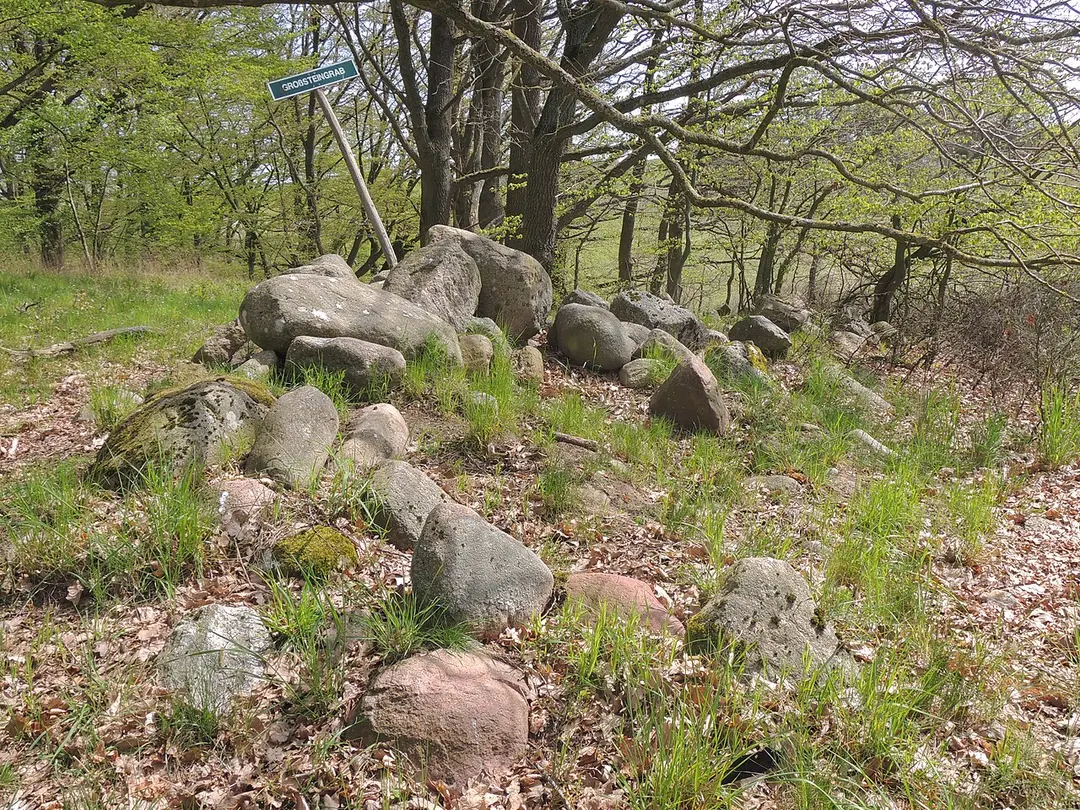 Großsteingrab Groß Ridsenow
