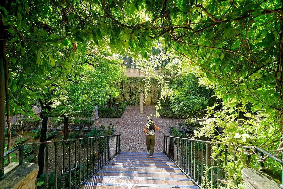 Jardines del Palacio