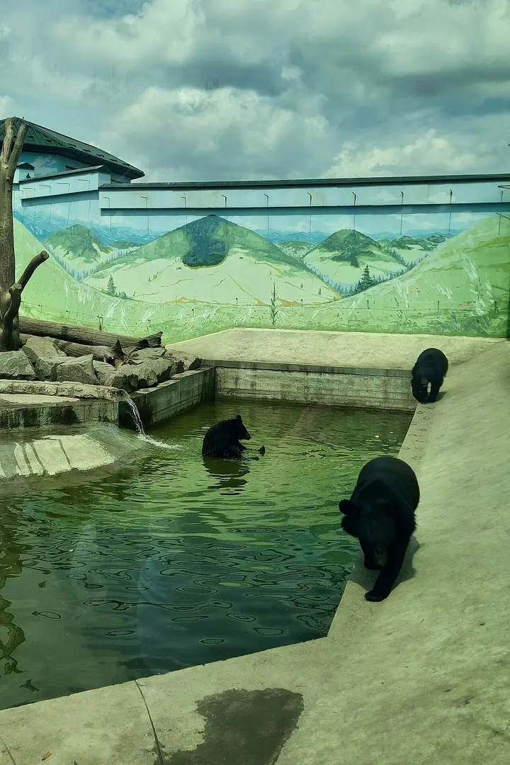 Podilskyi Zoo