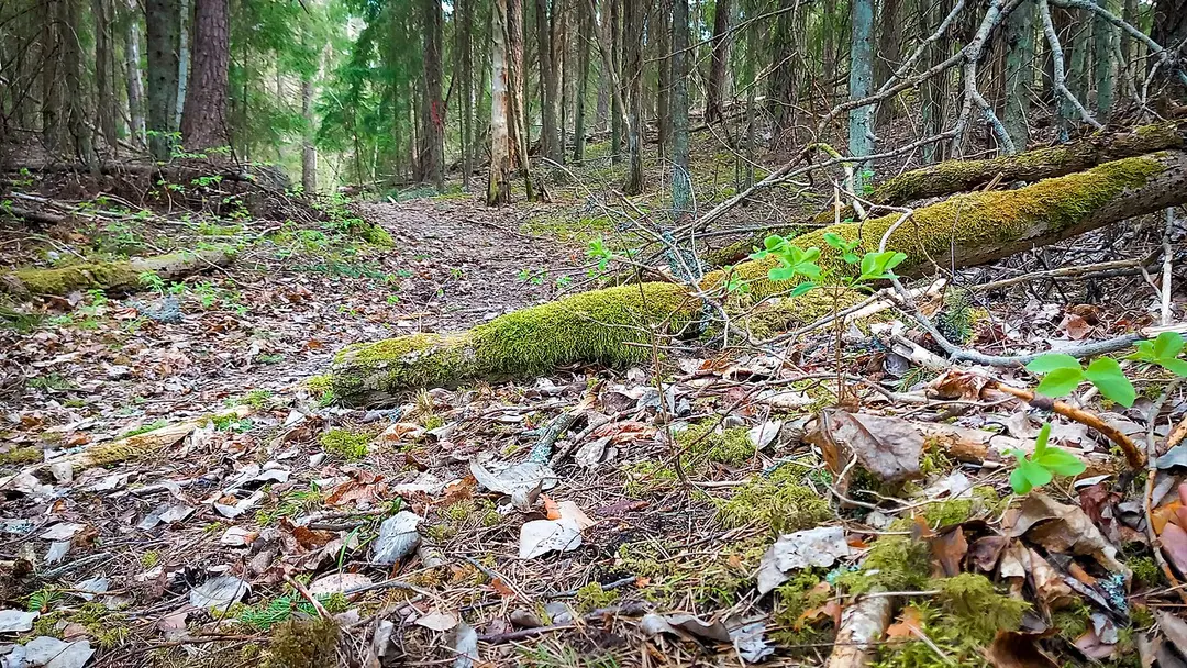 Aspenstorps naturreservat