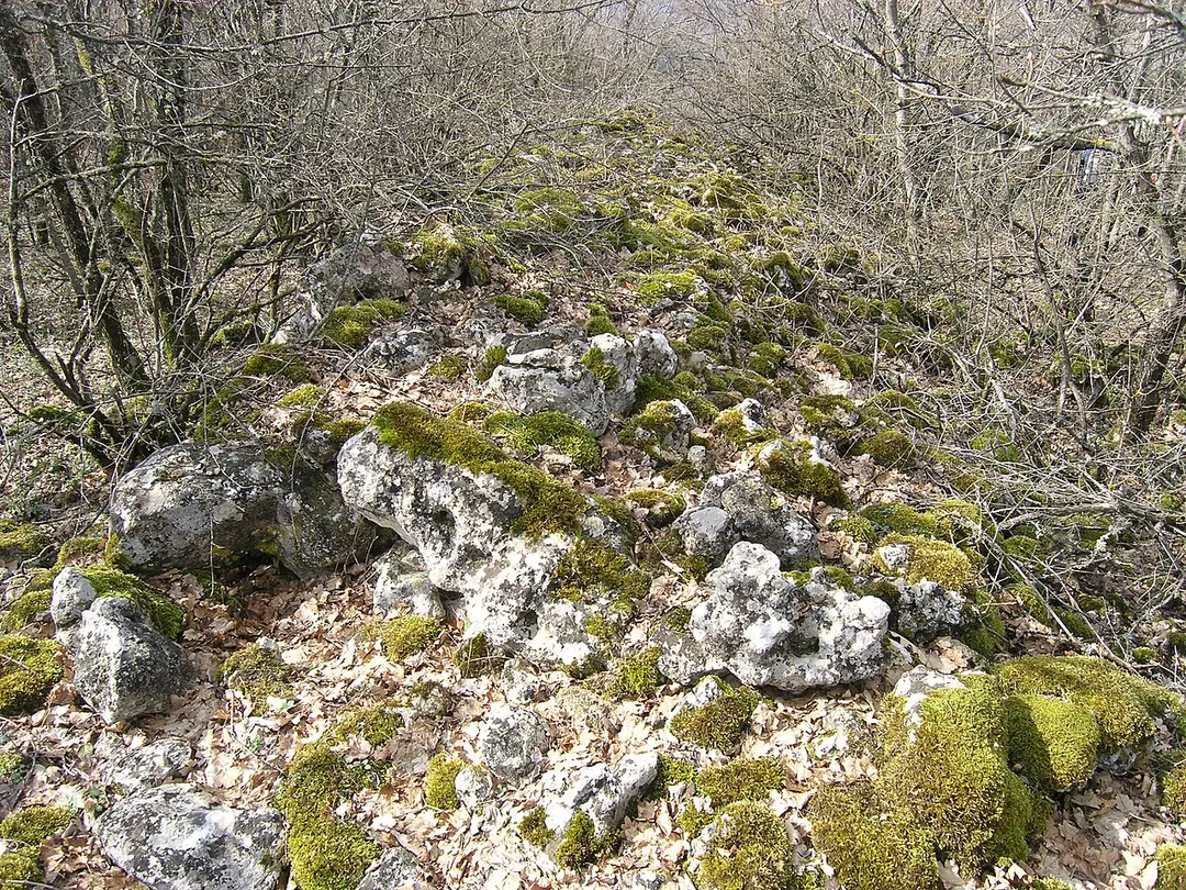Burun Kaia