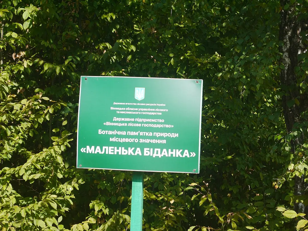 Маленька Біданка