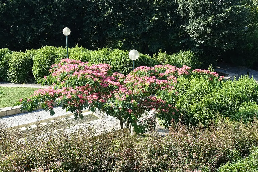 Parc de Belleville