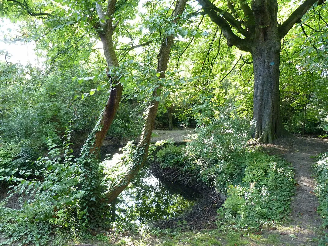 Pastoor Van Haeckeplantsoen