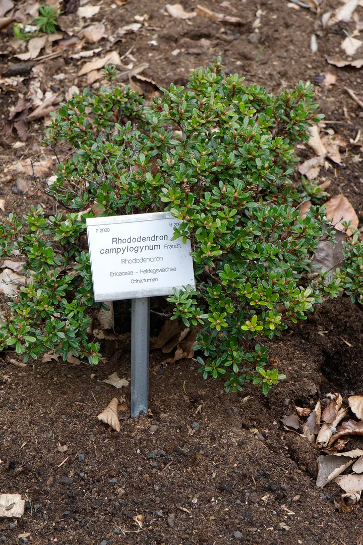 Hohenheimer Gärten