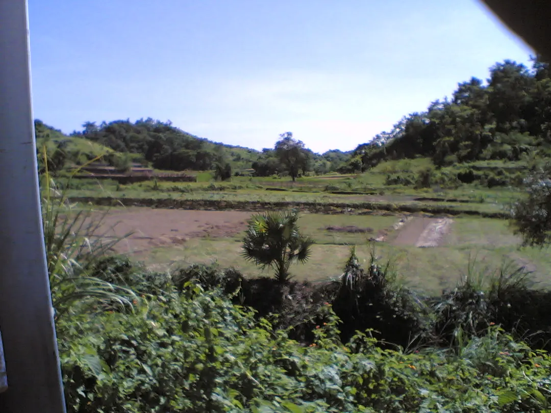Banshkhali Eco-Park