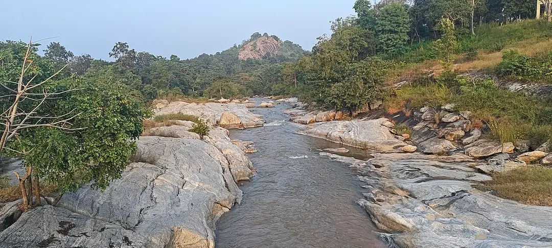Palamau WLS/Tiger Reserve