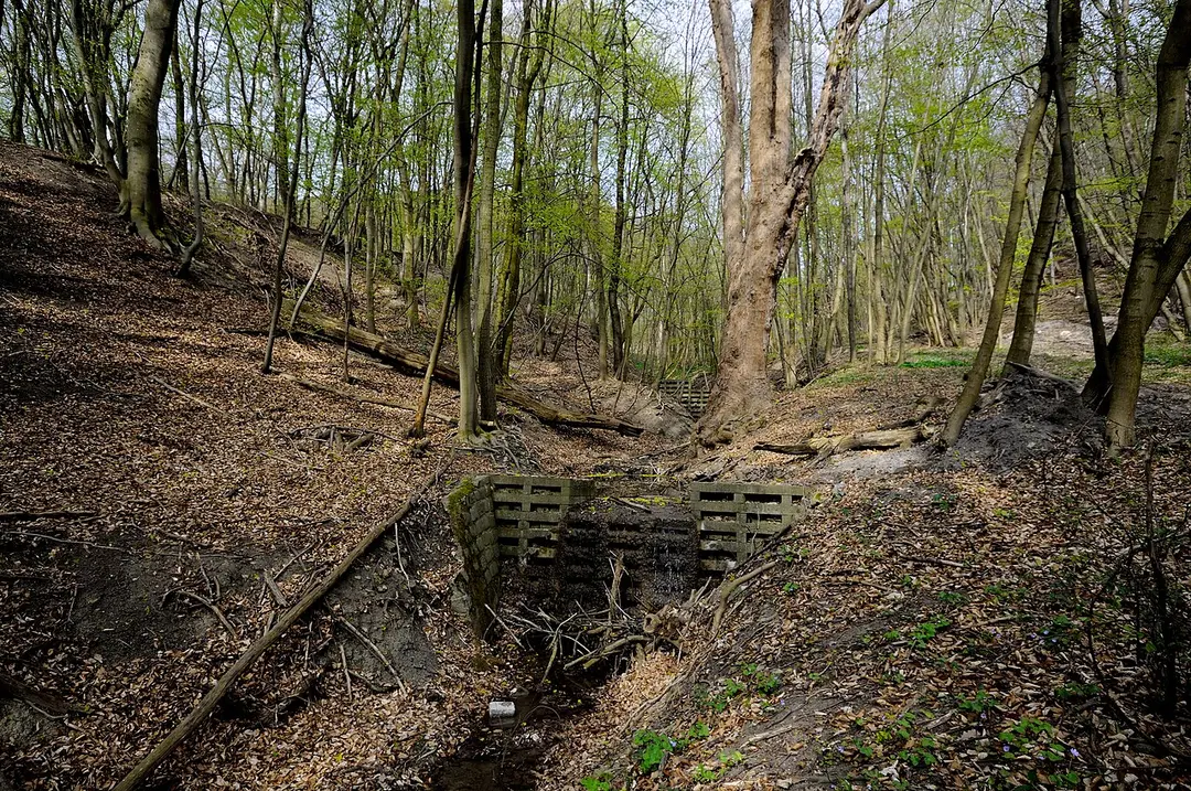 Nesselbach