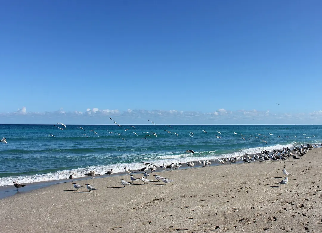 John D MacArthur Beach State Park